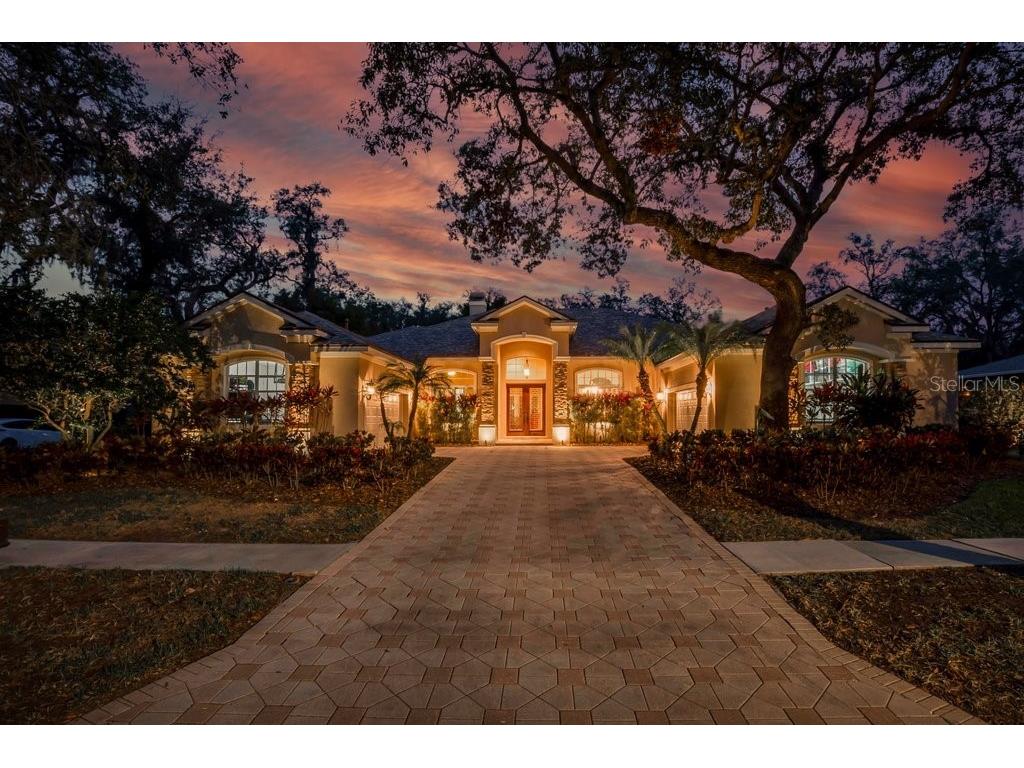 16312 Dunlindale Drive Lithia FL 33547 TB8337773 image1