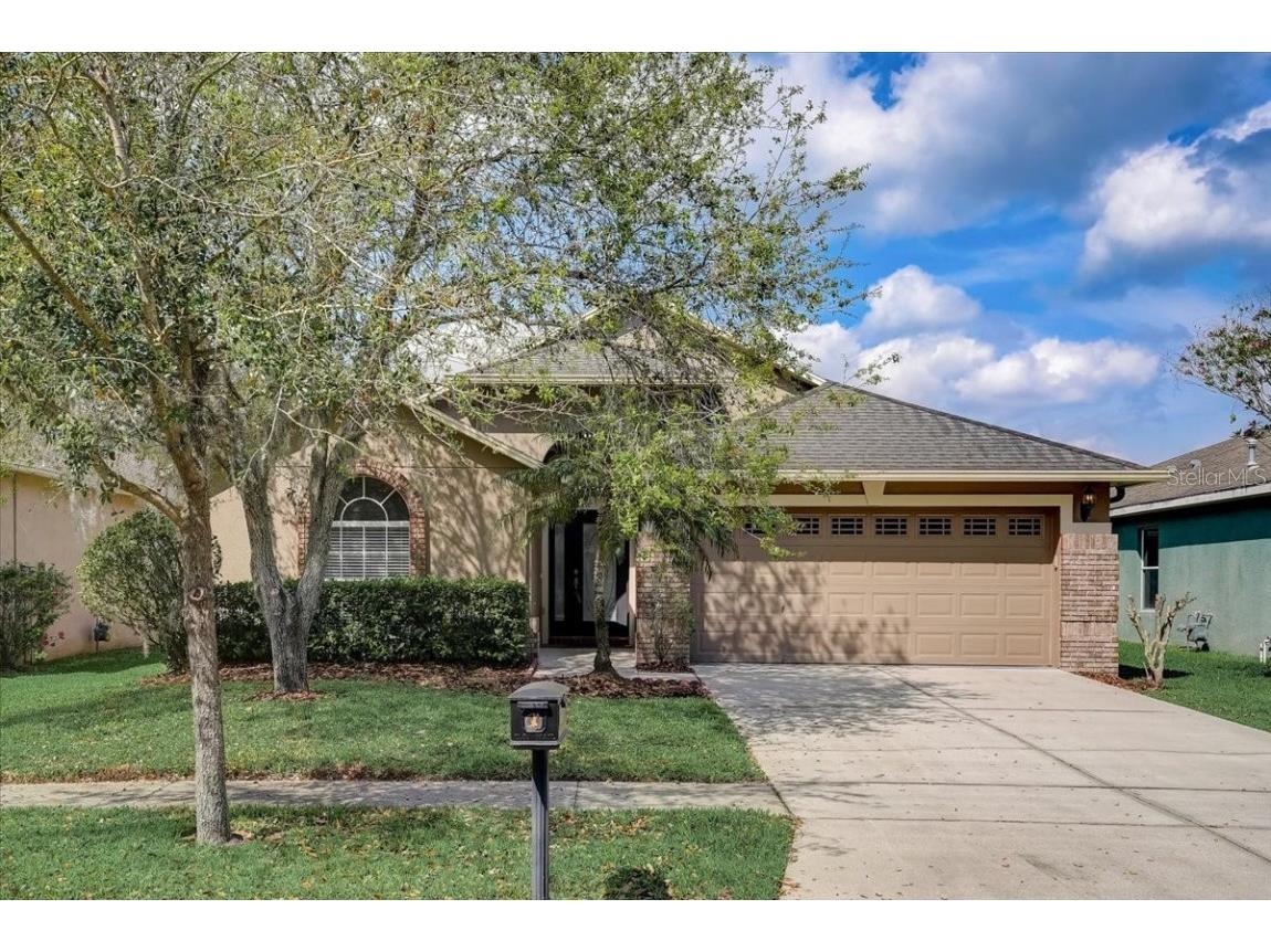 16314 Bridgeglade Lane Lithia FL 33547 T3430515 image1