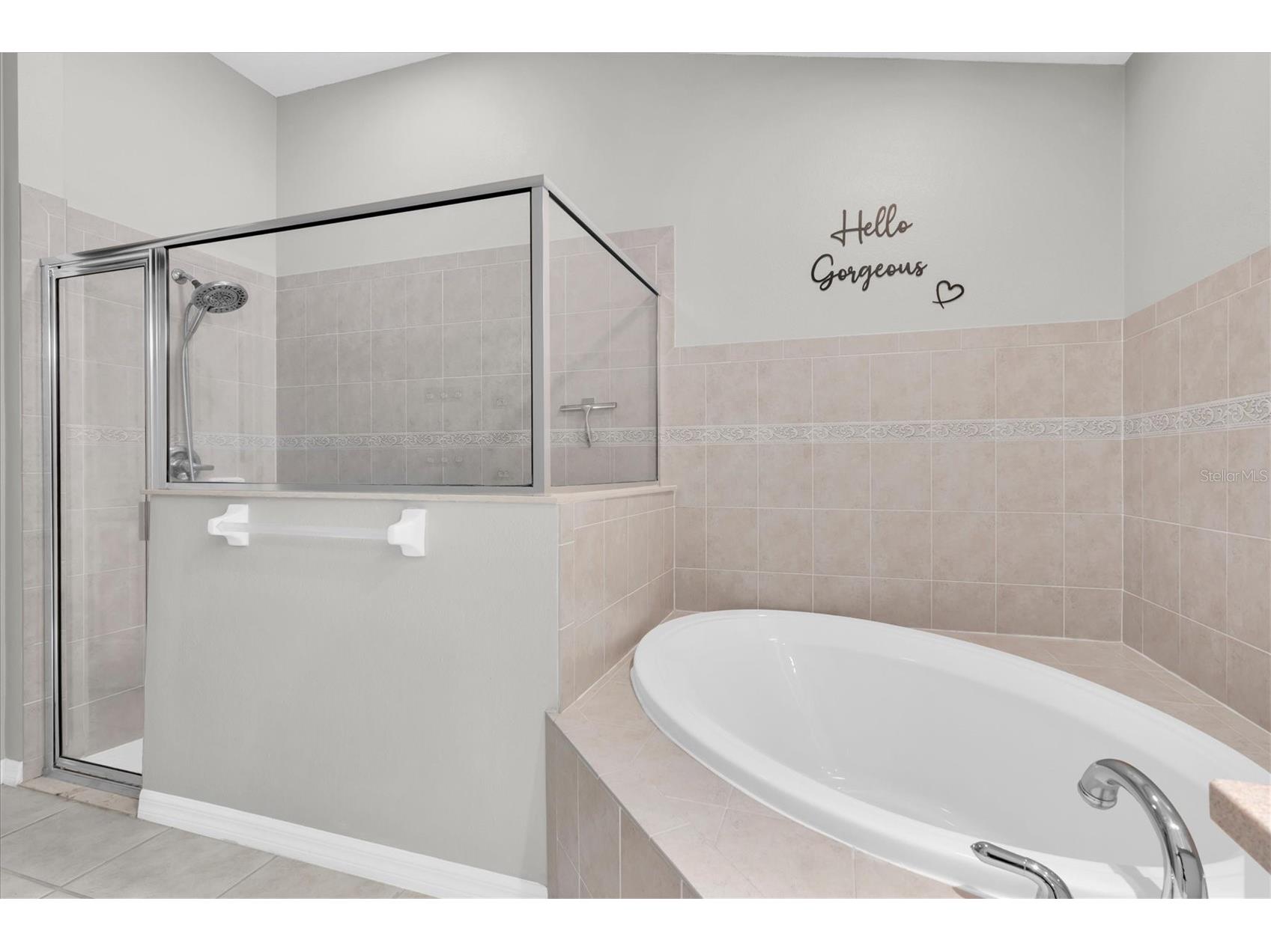 16314 Bridgeglade Lane Lithia FL 33547 TB8476347 image22