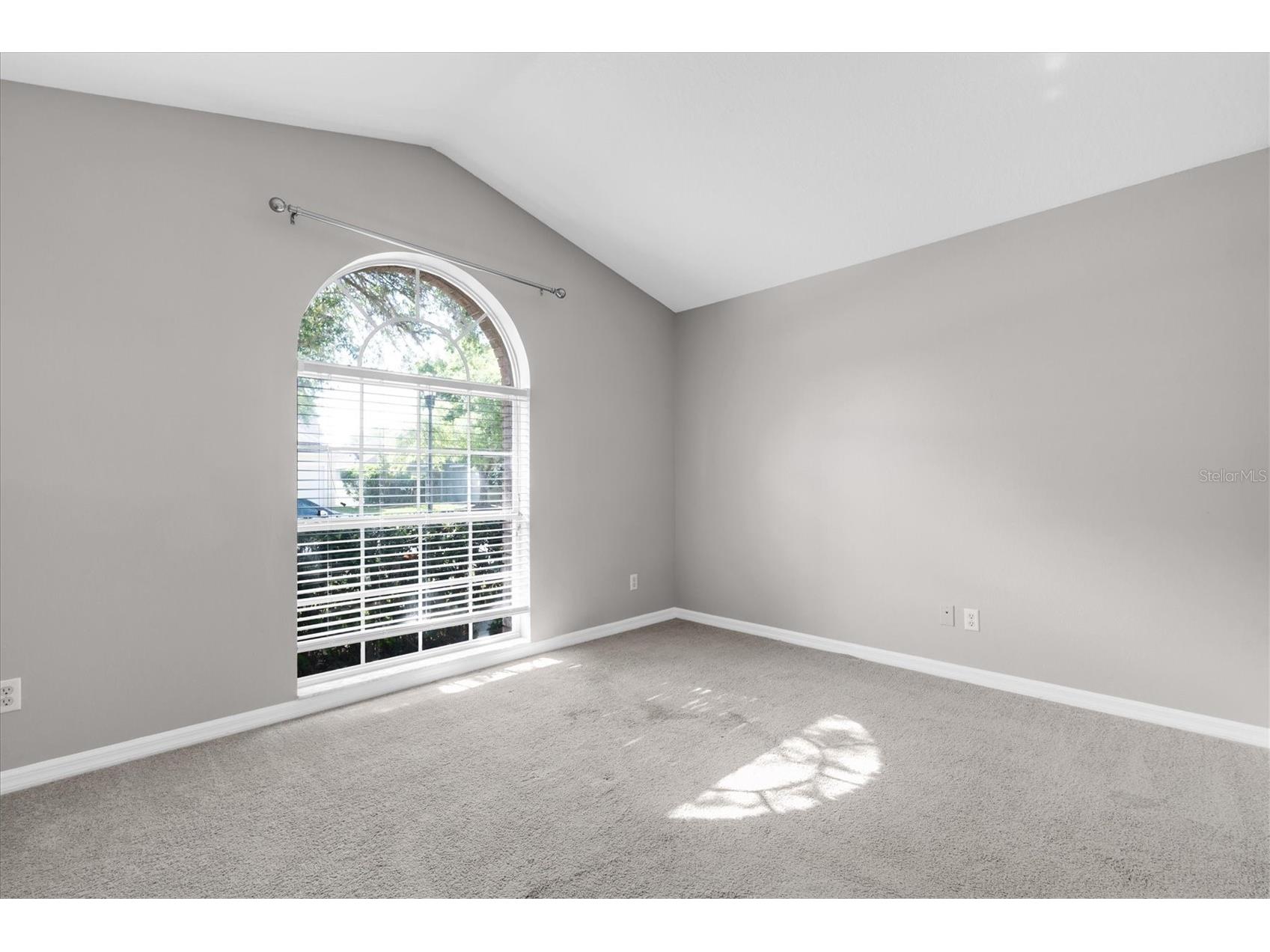 16314 Bridgeglade Lane Lithia FL 33547 TB8476347 image23