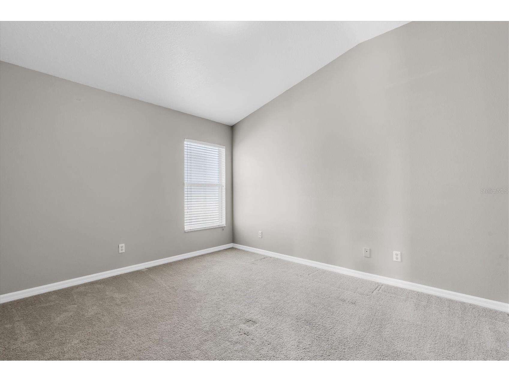 16314 Bridgeglade Lane Lithia FL 33547 TB8476347 image26