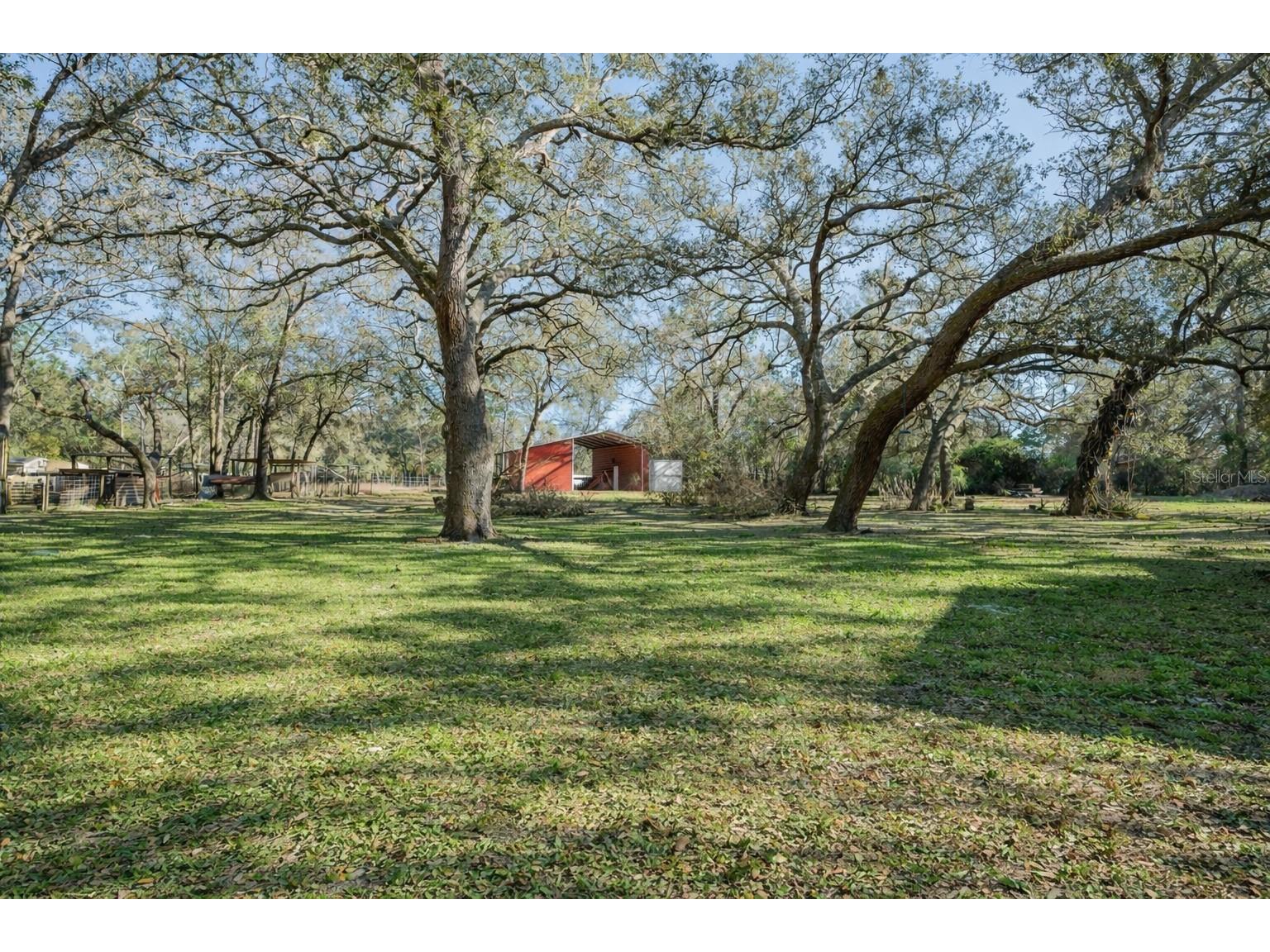 16314 Tiger Trail Spring Hill FL 34610 TB8478874 image2