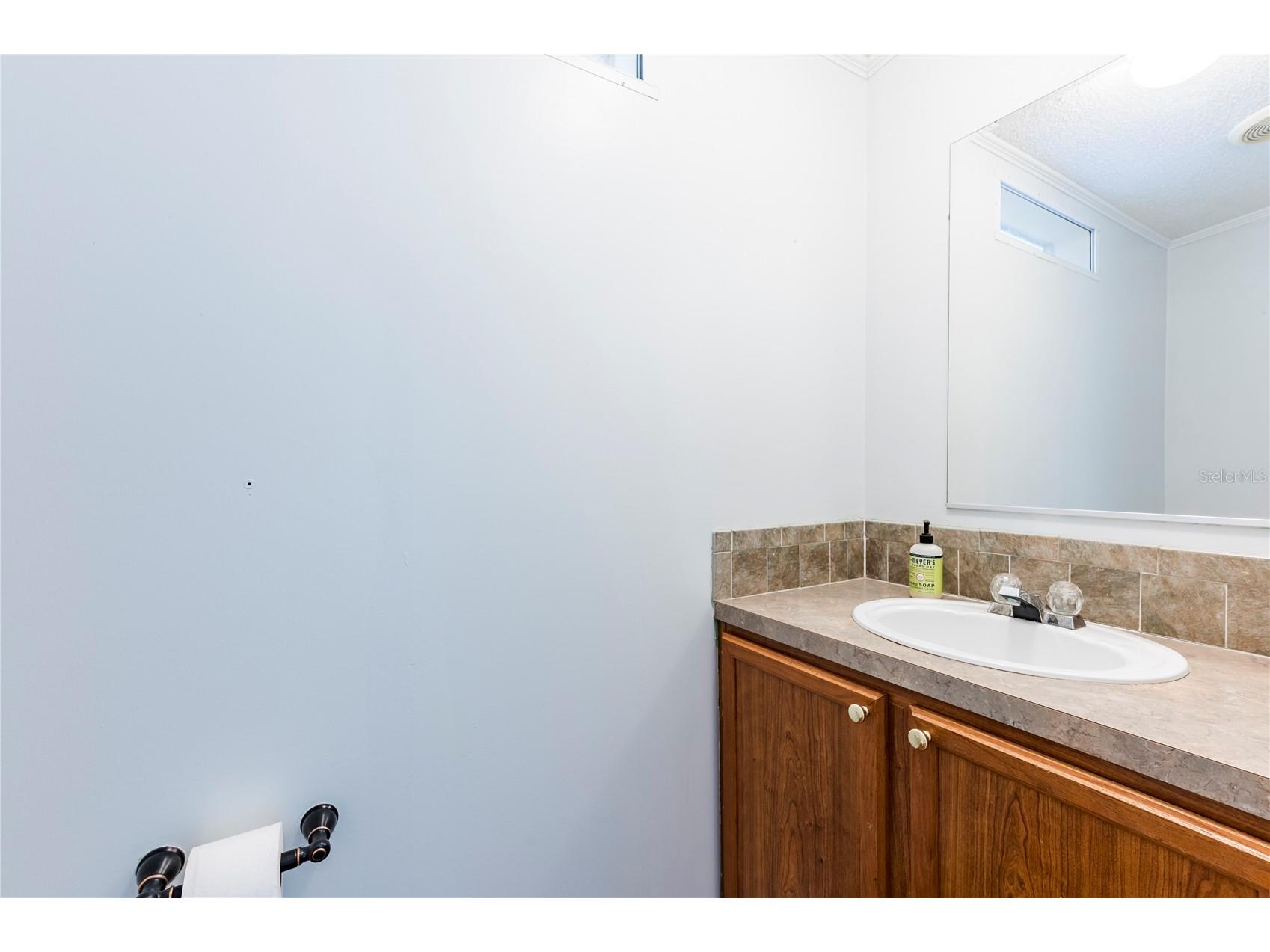 16314 Tiger Trail Spring Hill FL 34610 TB8478874 image23