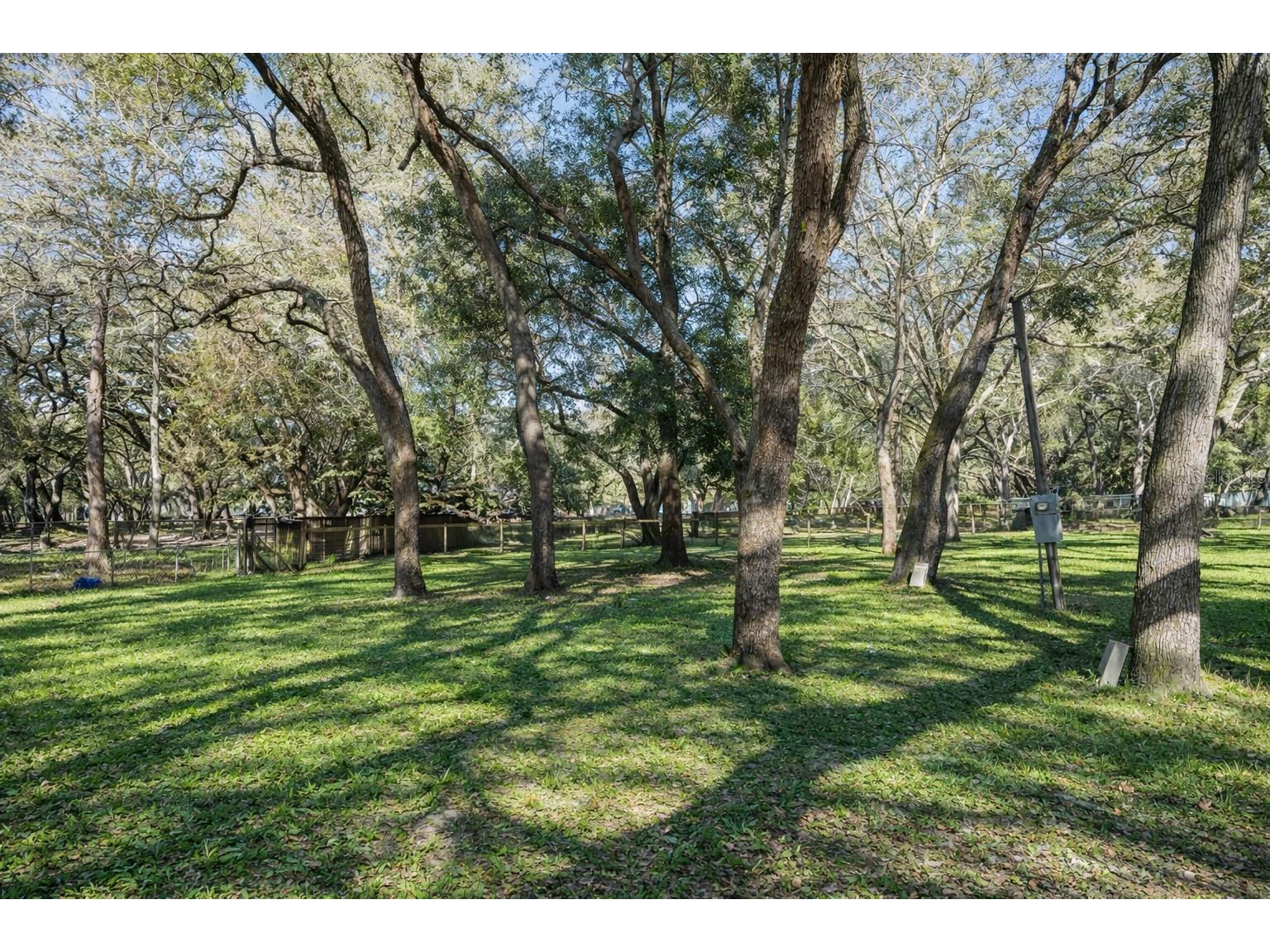 16314 Tiger Trail Spring Hill FL 34610 TB8478874 image3