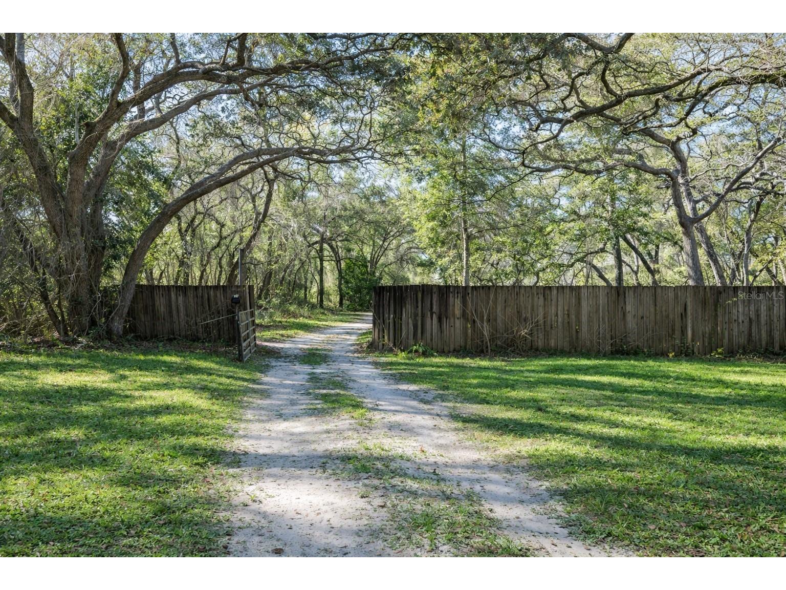 16314 Tiger Trail Spring Hill FL 34610 TB8478874 image4