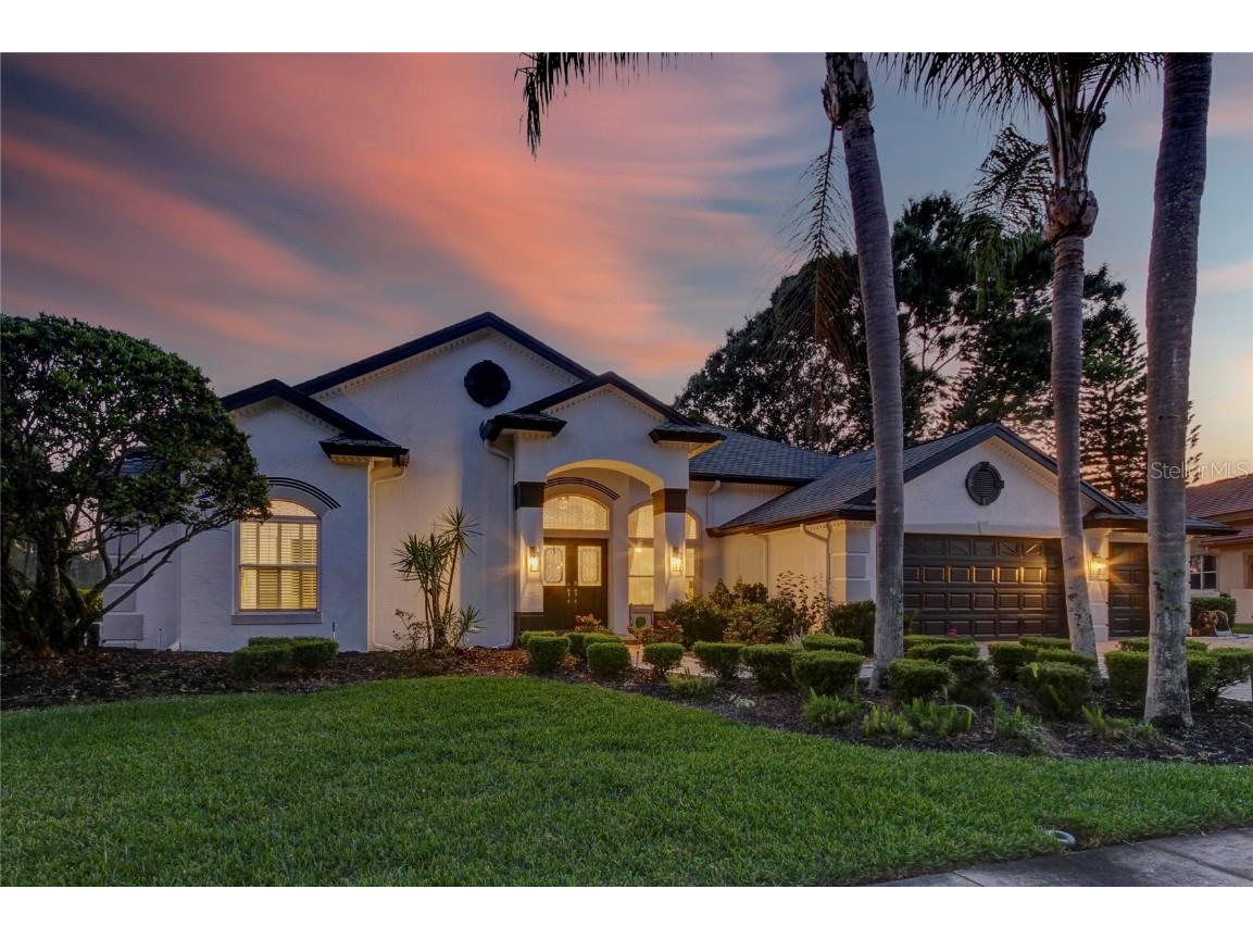 16316 Birkdale Drive Odessa FL 33556 T3436826 image1