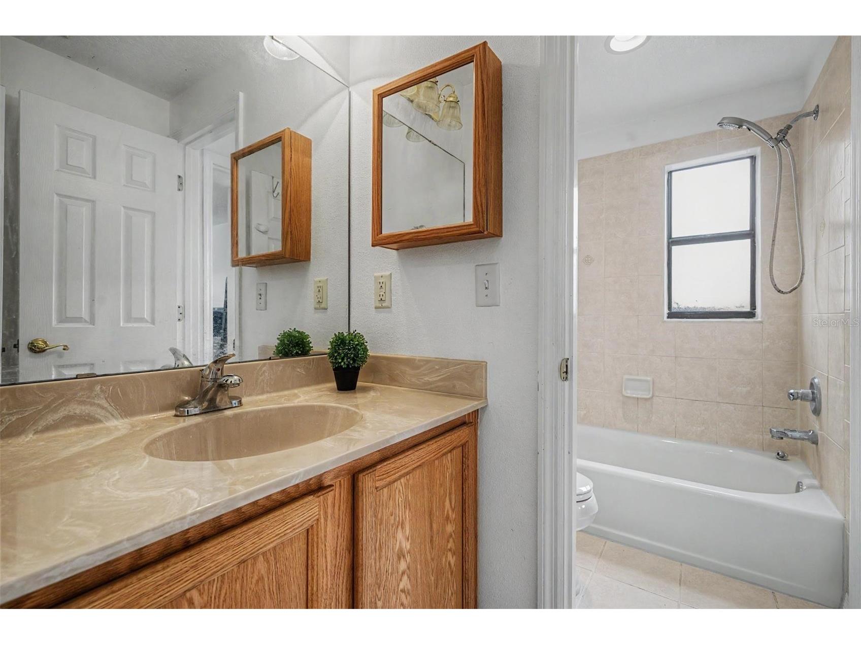 16317 Caliente Place Tampa FL 33624 TB8514284 image16