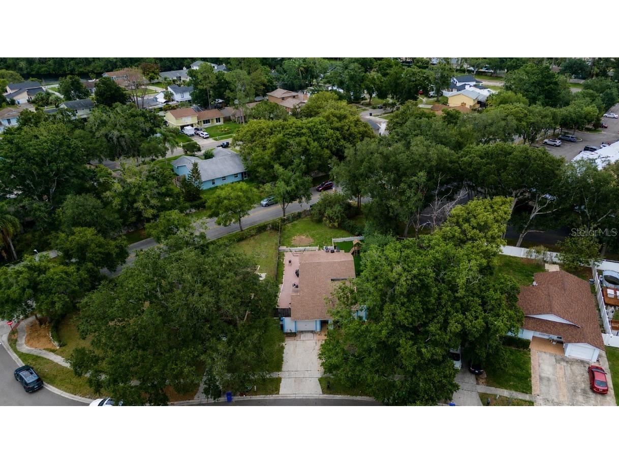 16317 Caliente Place Tampa FL 33624 TB8514284 image3