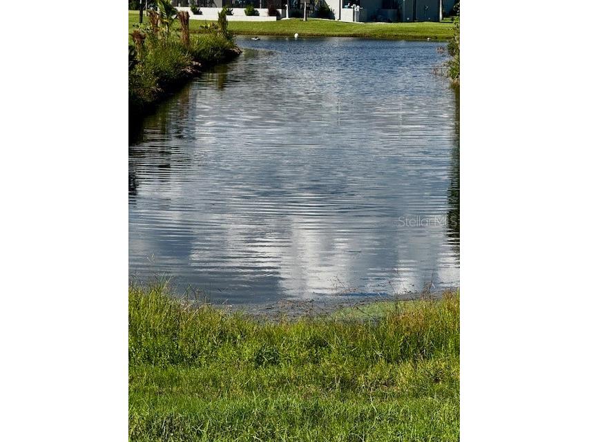 16317 Cape Horn Boulevard Punta Gorda FL 33955 O6335475 image1