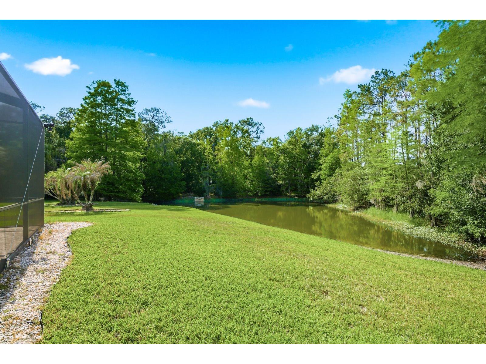 16318 Armstrong Place Tampa FL 33647 TB8504790 image39