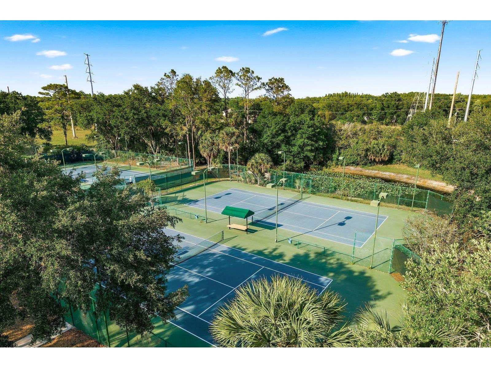 16318 Armstrong Place Tampa FL 33647 TB8504790 image53