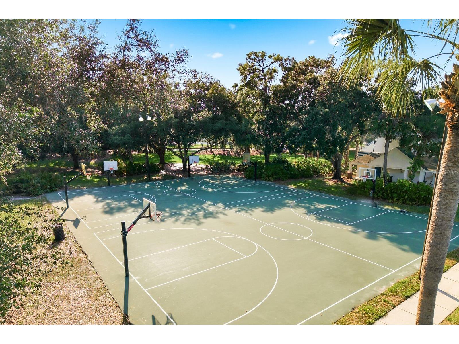 16318 Armstrong Place Tampa FL 33647 TB8504790 image55