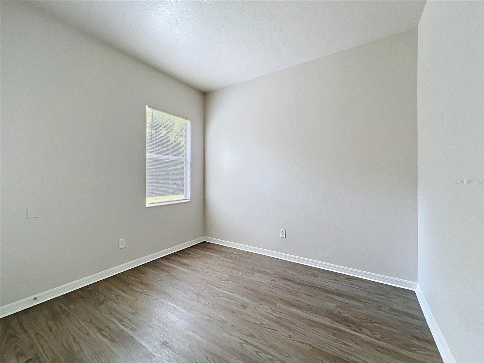 16318 Bridgelawn Avenue Lithia FL 33547 TB8439837 image33