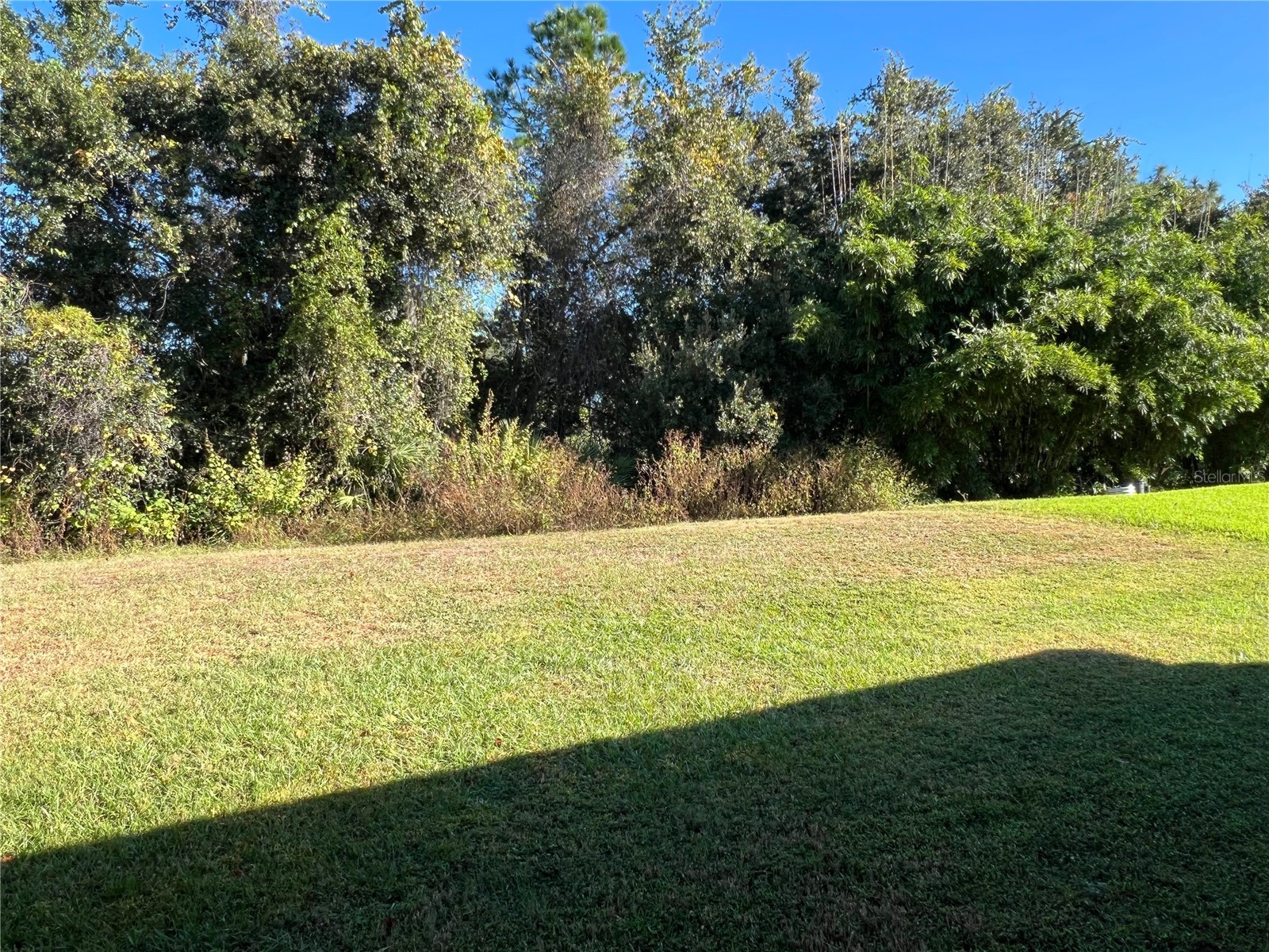16318 Bridgelawn Avenue Lithia FL 33547 TB8439837 image39