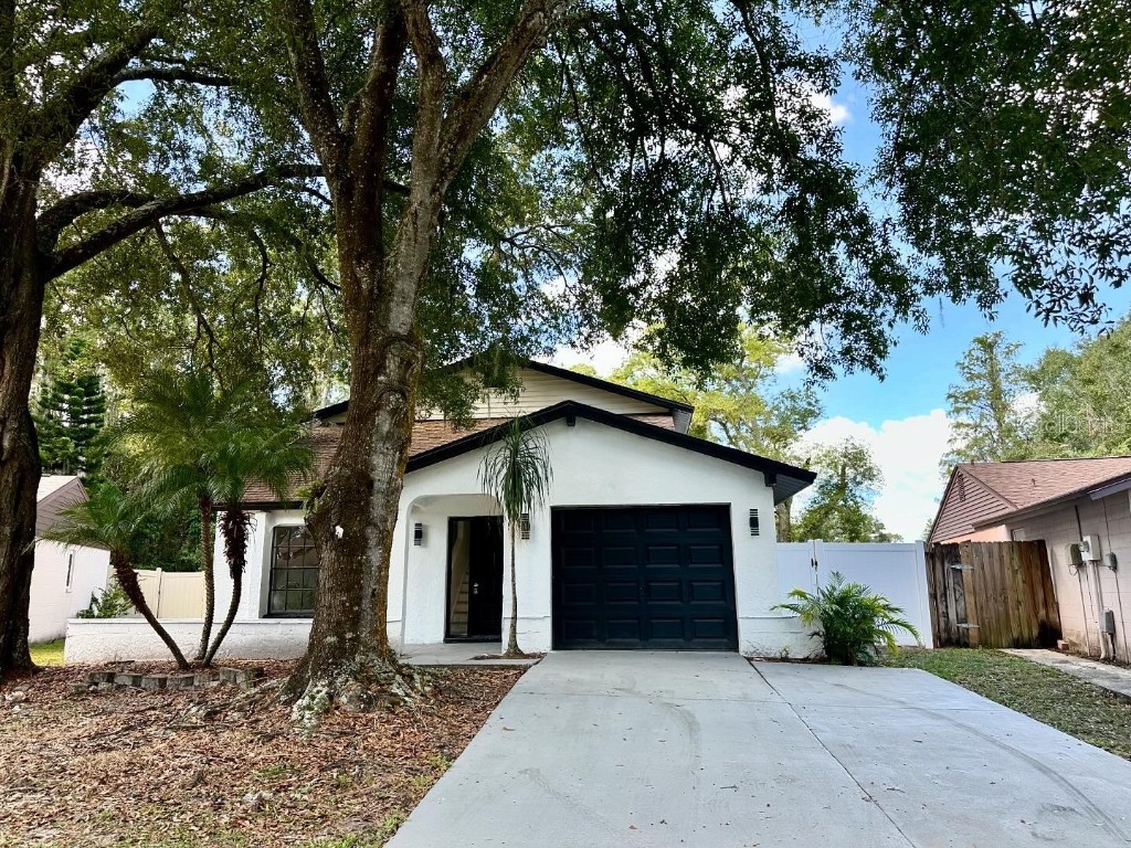 16318 Caliente Place Tampa FL 33624 TB8306459 image1