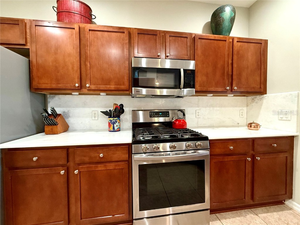 16318 SW 12th Terrace Ocala FL 34473 OM711339 image43