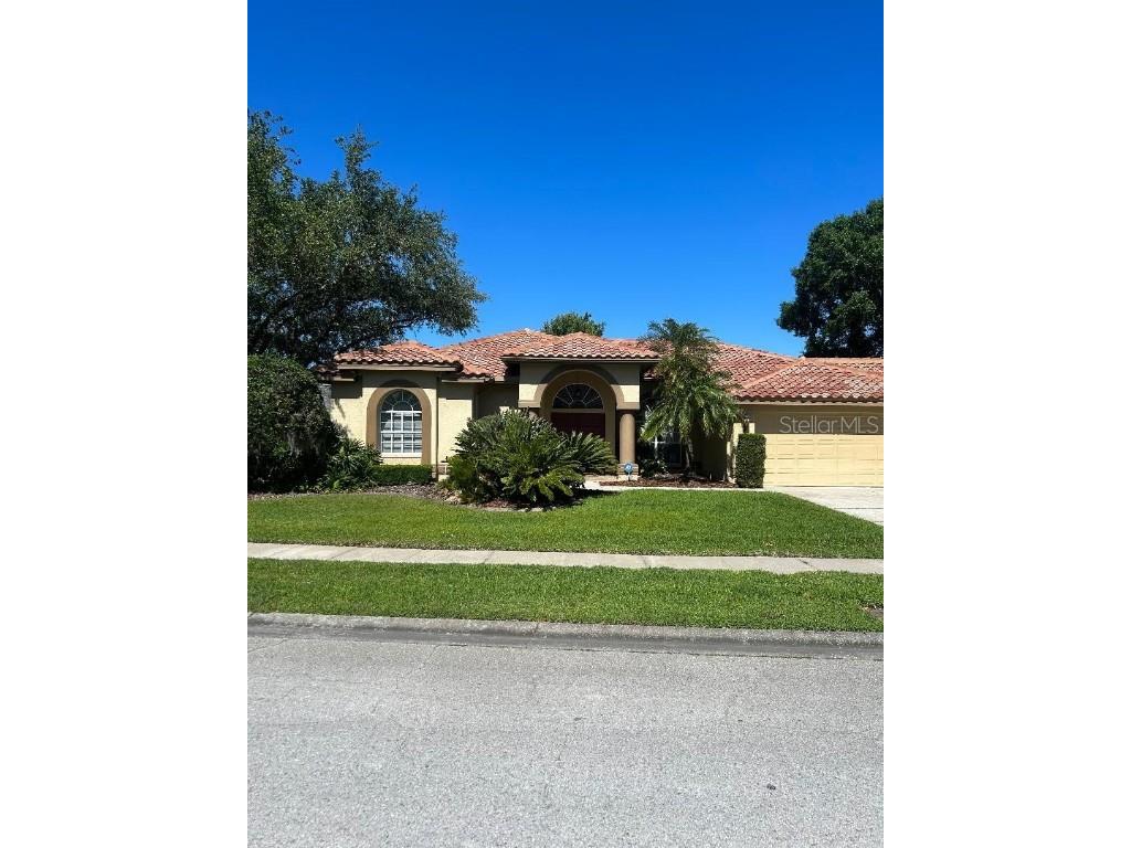 16319 Birkdale Drive Odessa FL 33556 T3520765 image1