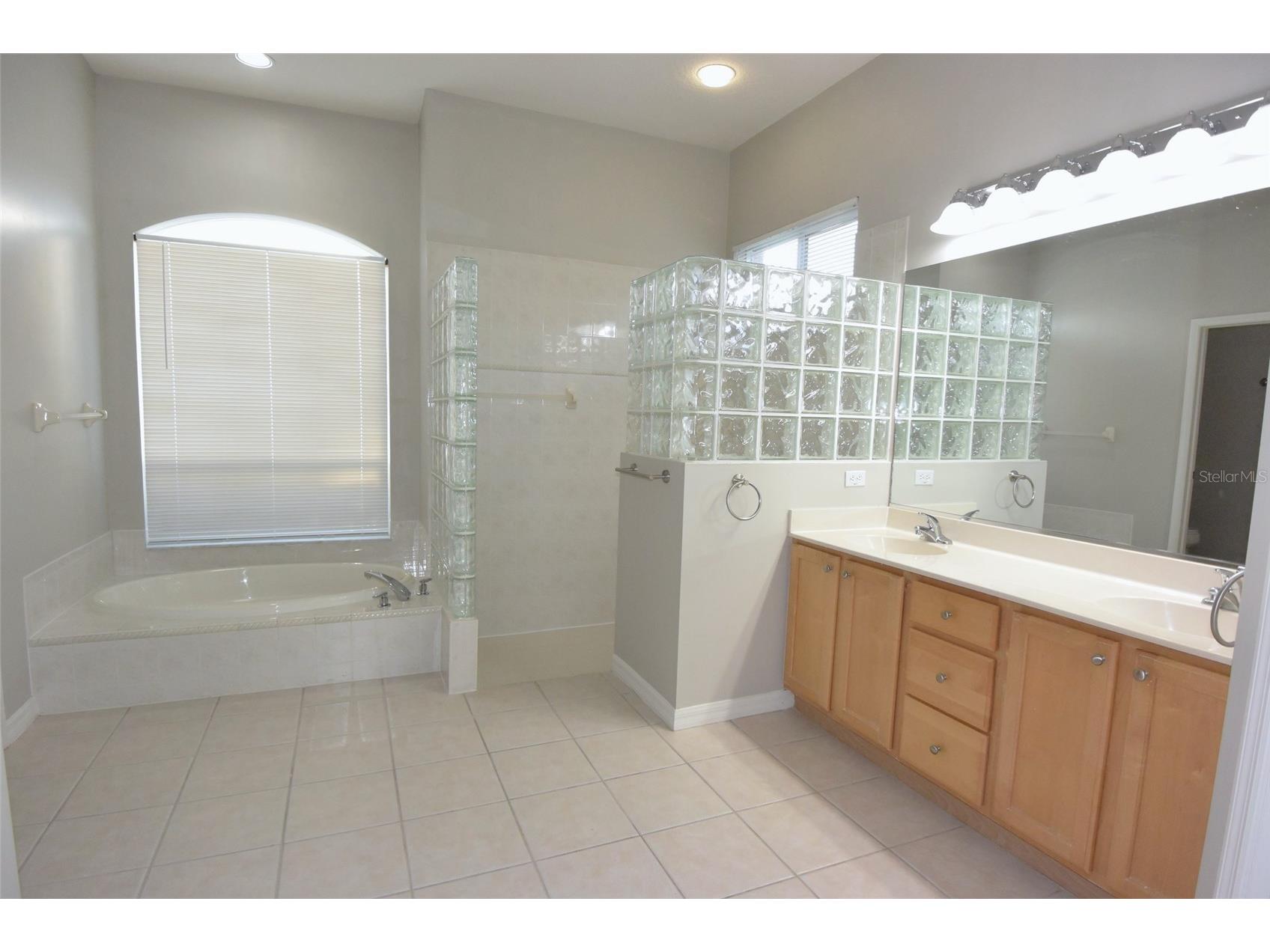 1632 Bayfield Court Trinity FL 34655 W7884766 image19