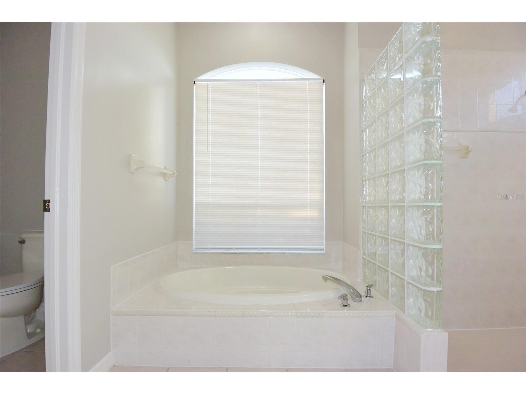 1632 Bayfield Court Trinity FL 34655 W7884766 image20