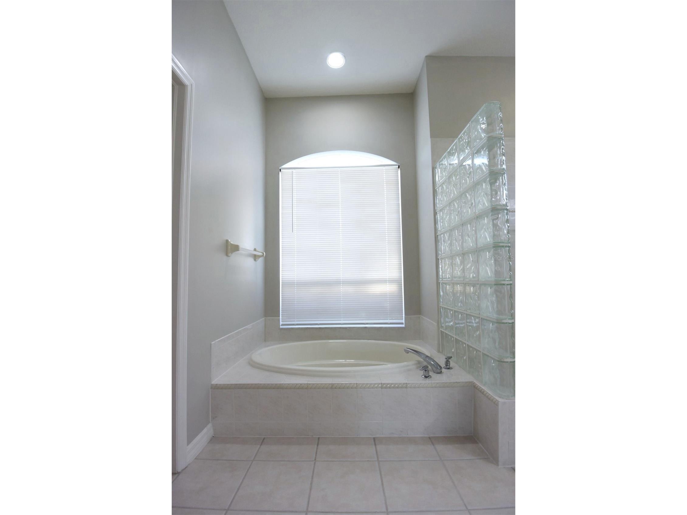 1632 Bayfield Court Trinity FL 34655 W7884766 image22