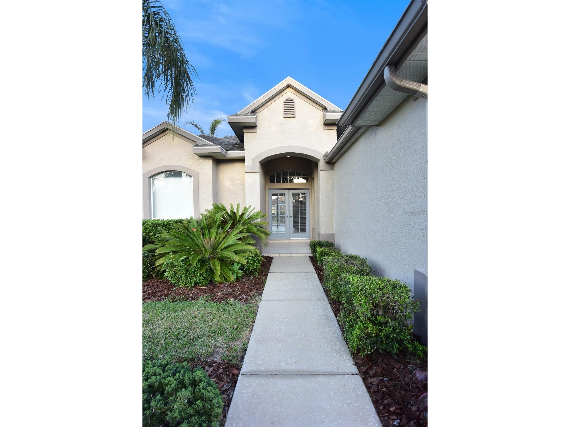 1632 Bayfield Court Trinity FL 34655 W7884766 image3