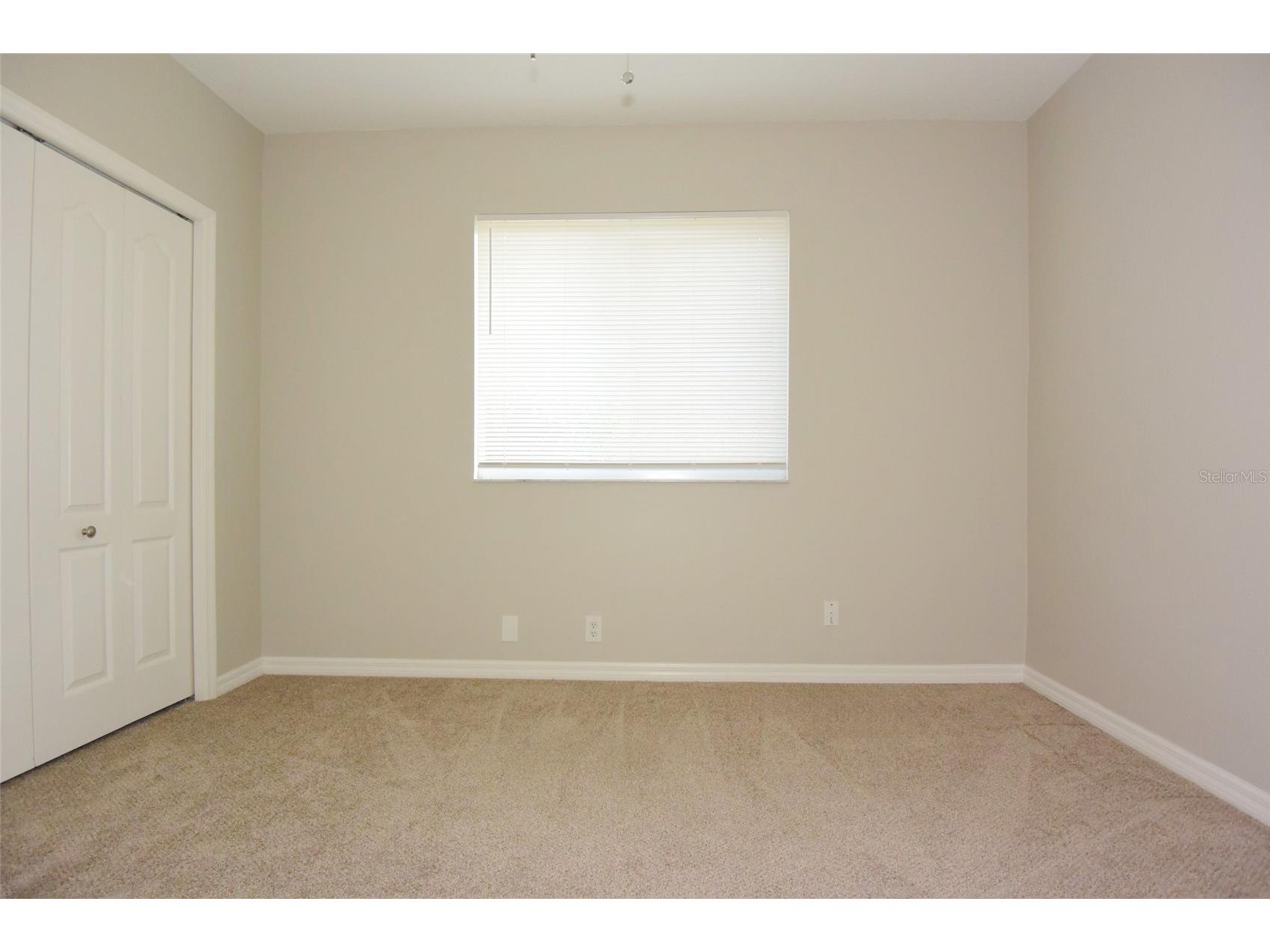 1632 Bayfield Court Trinity FL 34655 W7884766 image33