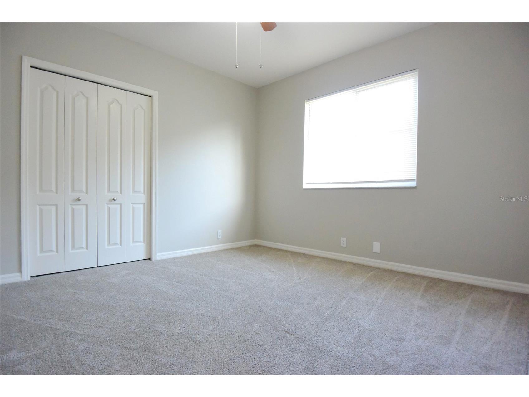 1632 Bayfield Court Trinity FL 34655 W7884766 image37