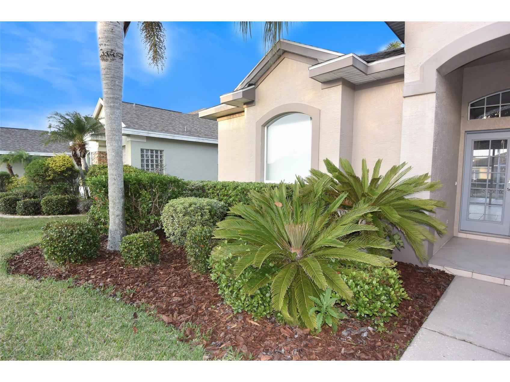 1632 Bayfield Court Trinity FL 34655 W7884766 image55