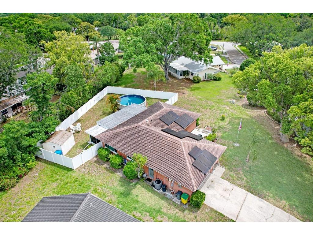 1632 Heather Place Palm Harbor FL 34684 TB8493682 image10