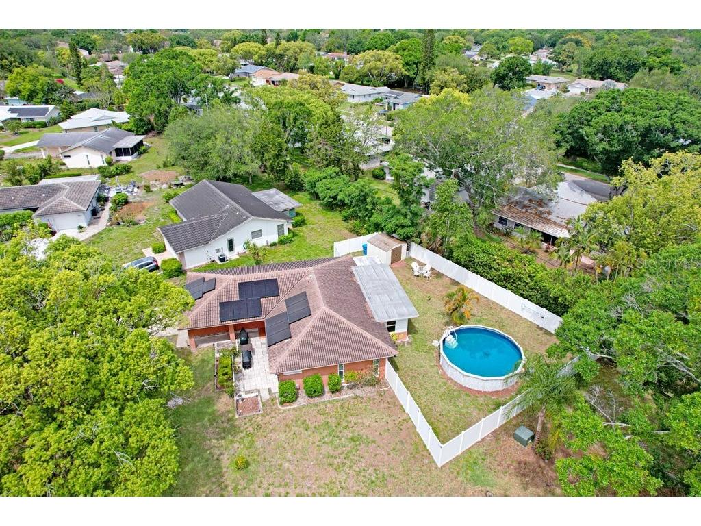 1632 Heather Place Palm Harbor FL 34684 TB8493682 image11