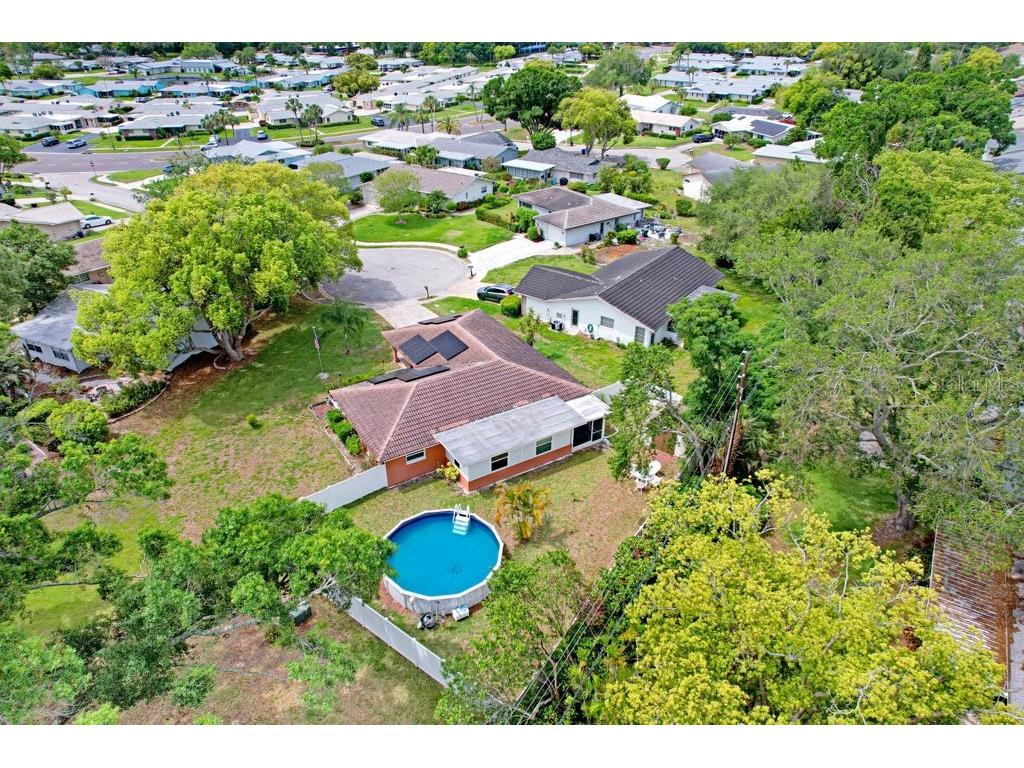 1632 Heather Place Palm Harbor FL 34684 TB8493682 image12