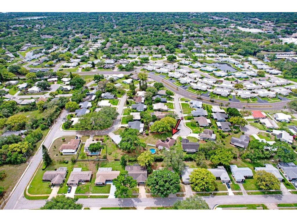 1632 Heather Place Palm Harbor FL 34684 TB8493682 image13