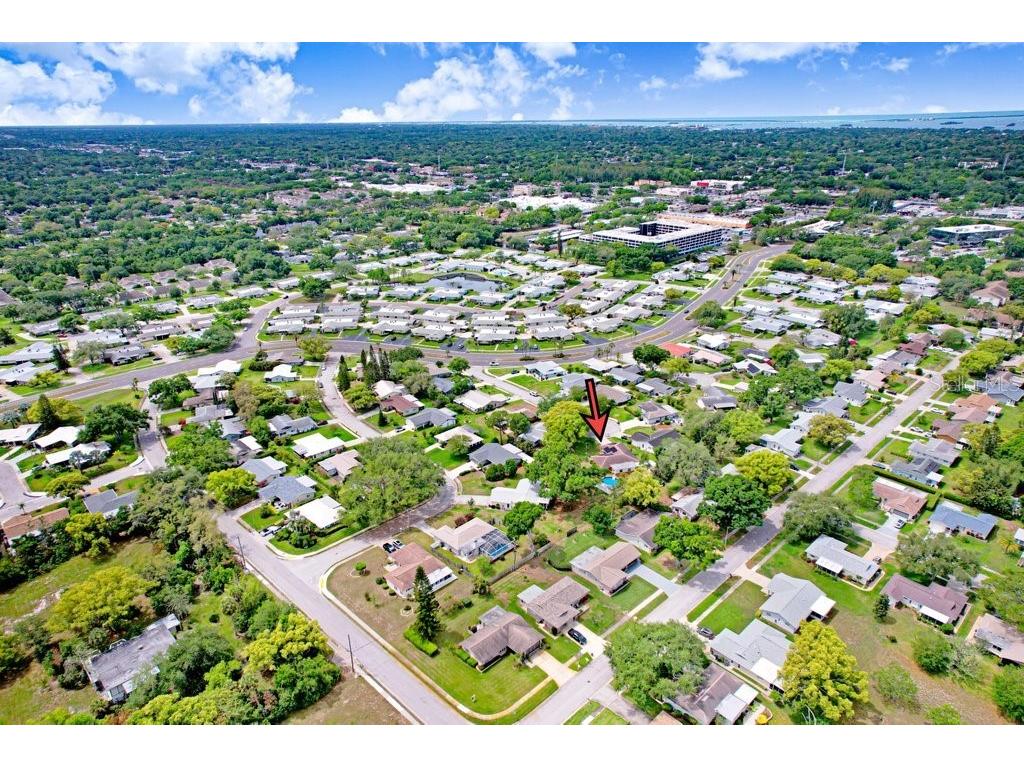 1632 Heather Place Palm Harbor FL 34684 TB8493682 image14