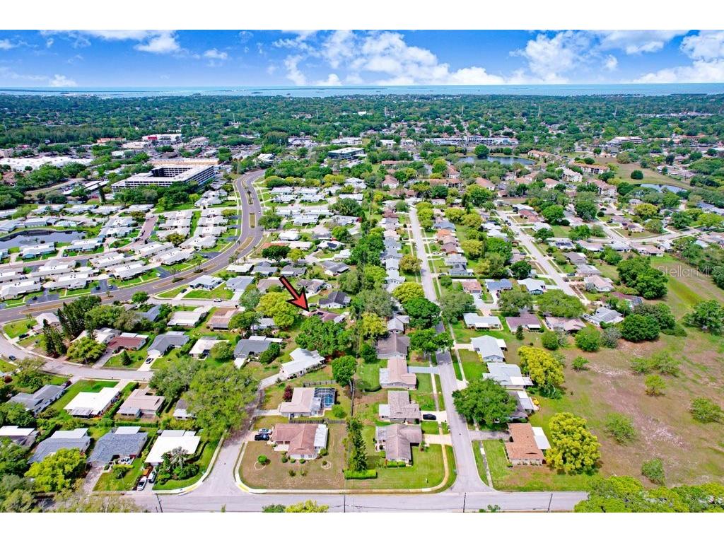 1632 Heather Place Palm Harbor FL 34684 TB8493682 image15