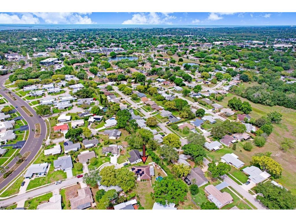 1632 Heather Place Palm Harbor FL 34684 TB8493682 image16