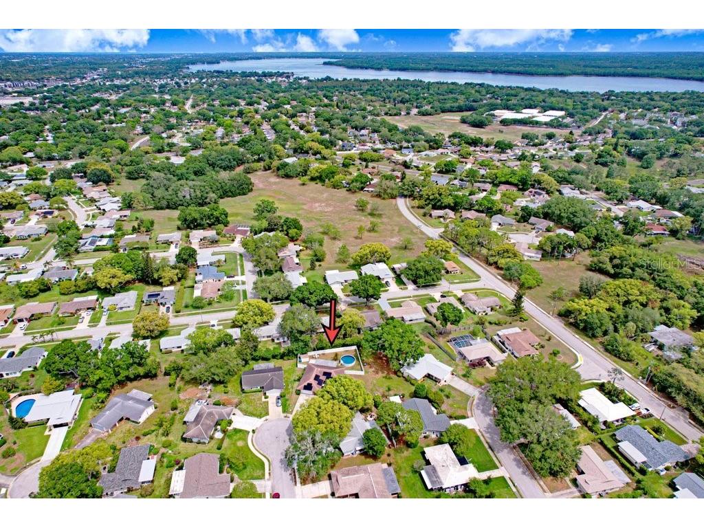 1632 Heather Place Palm Harbor FL 34684 TB8493682 image17