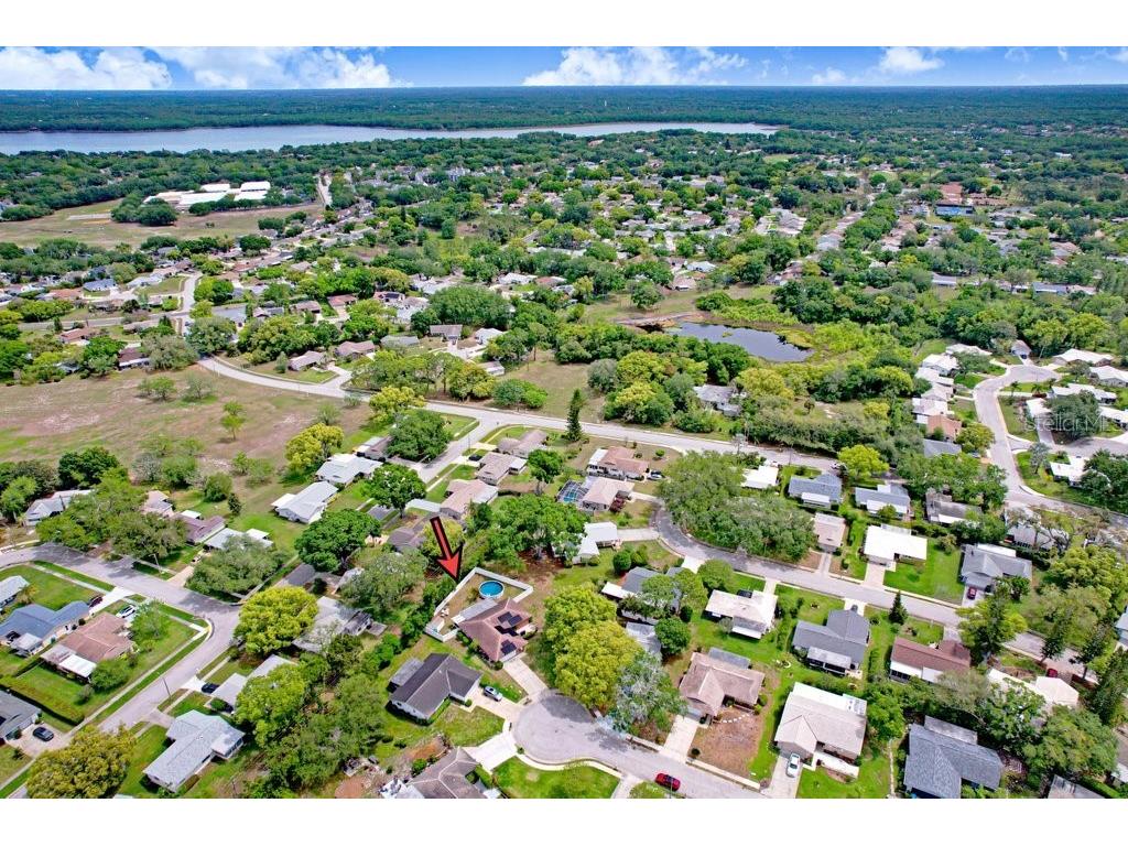 1632 Heather Place Palm Harbor FL 34684 TB8493682 image18