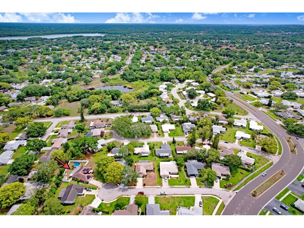 1632 Heather Place Palm Harbor FL 34684 TB8493682 image19