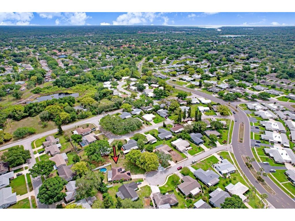 1632 Heather Place Palm Harbor FL 34684 TB8493682 image20