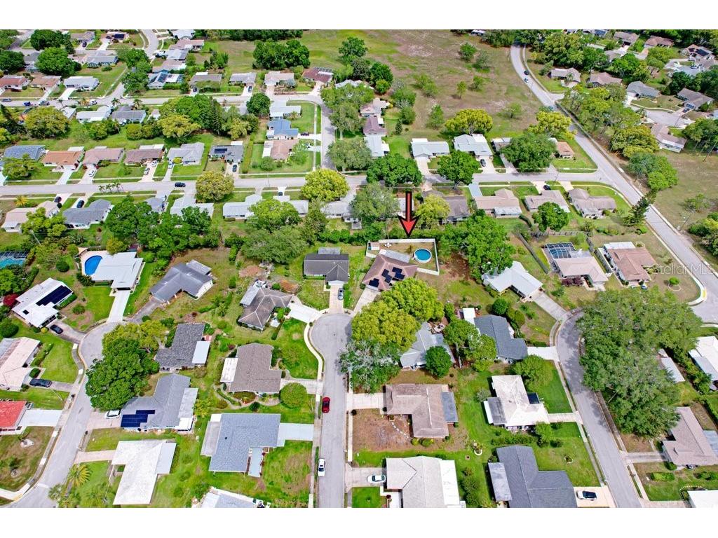 1632 Heather Place Palm Harbor FL 34684 TB8493682 image21