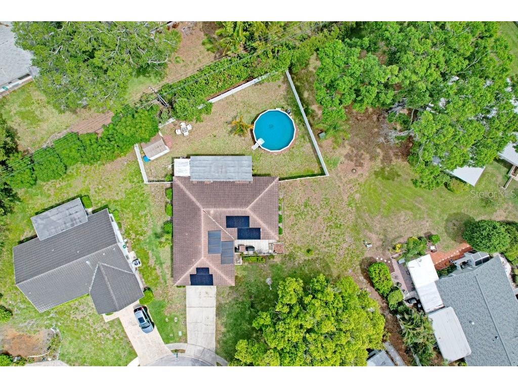 1632 Heather Place Palm Harbor FL 34684 TB8493682 image22