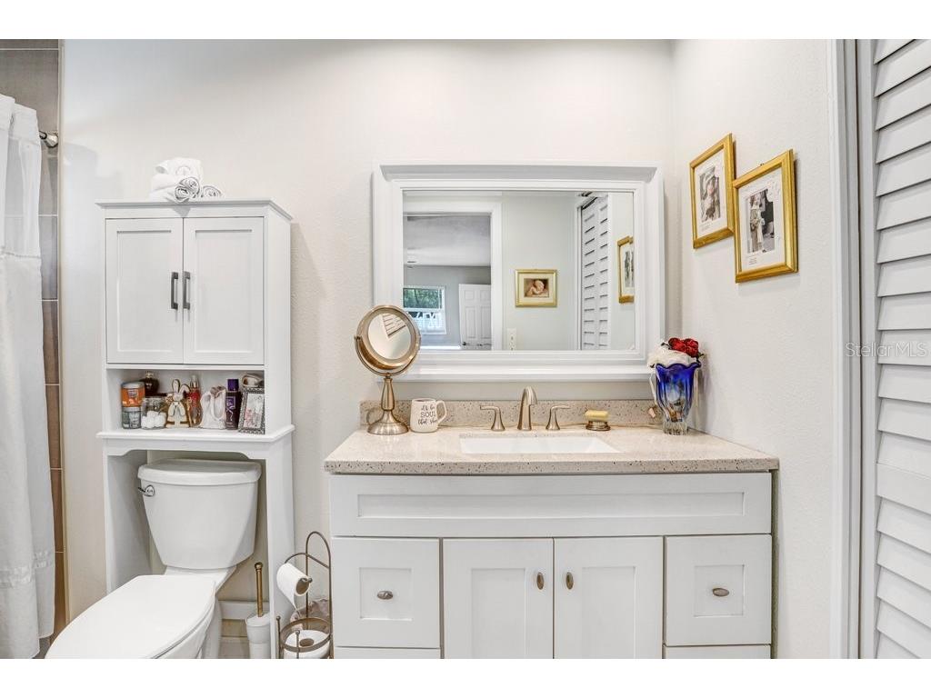 1632 Heather Place Palm Harbor FL 34684 TB8493682 image41