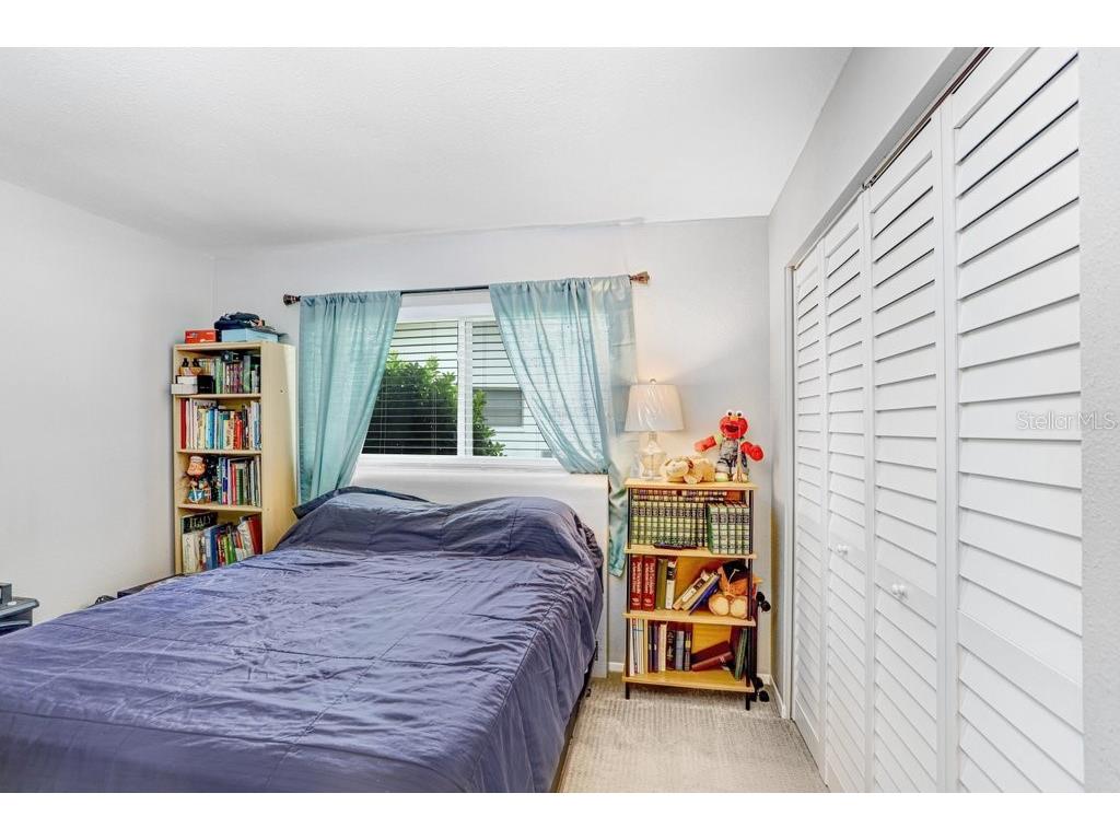 1632 Heather Place Palm Harbor FL 34684 TB8493682 image43