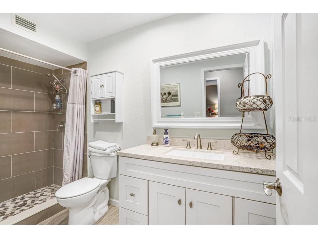 1632 Heather Place Palm Harbor FL 34684 TB8493682 image44