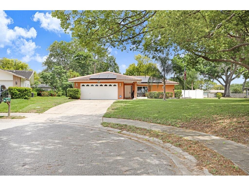 1632 Heather Place Palm Harbor FL 34684 TB8493682 image5