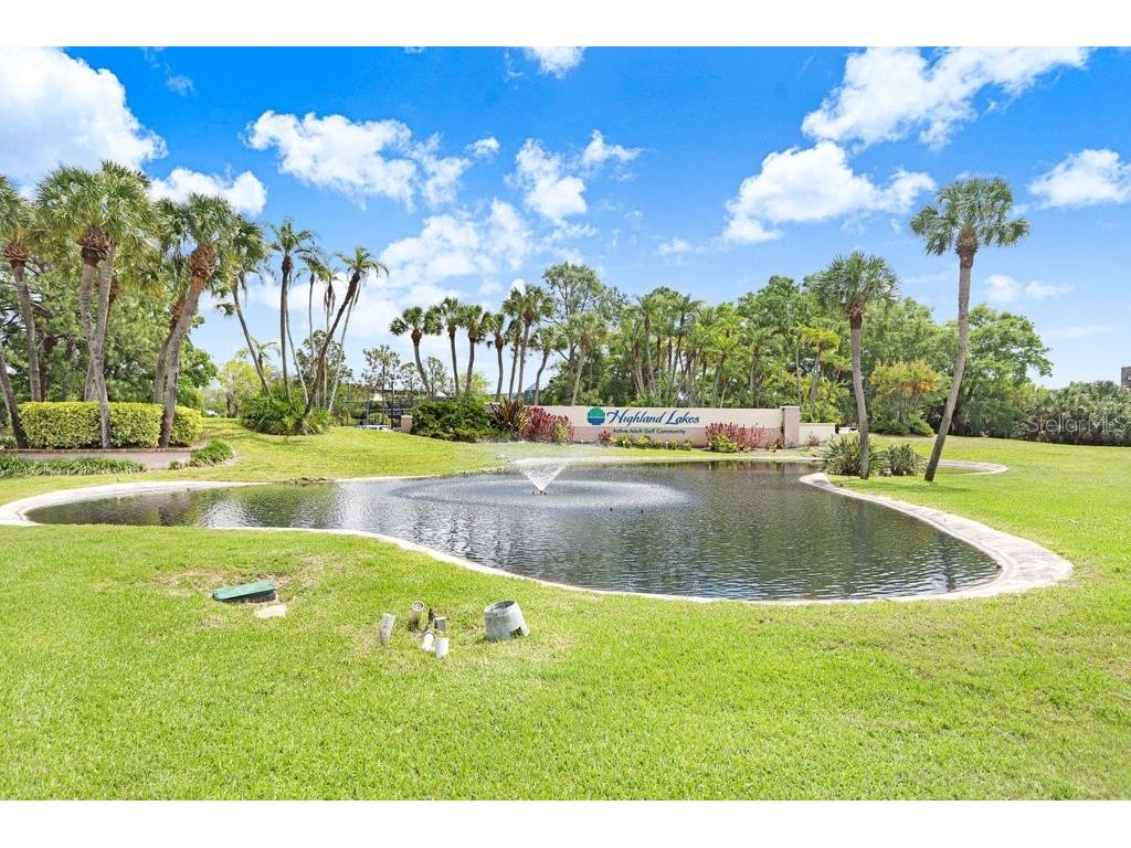 1632 Heather Place Palm Harbor FL 34684 TB8493682 image52