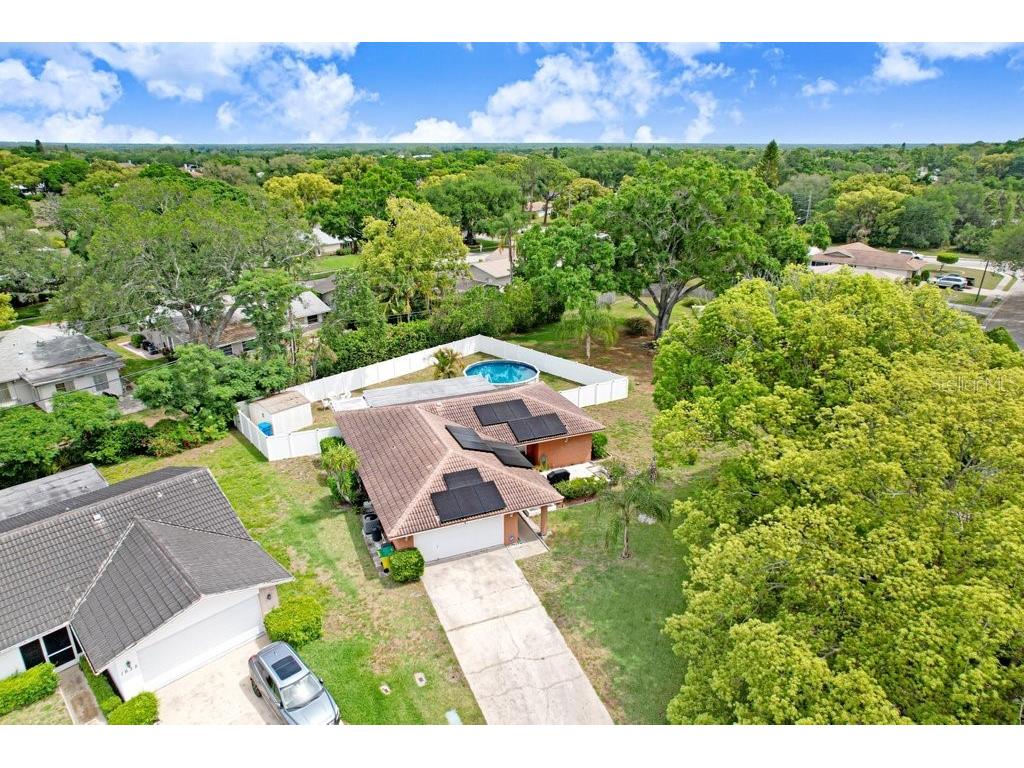 1632 Heather Place Palm Harbor FL 34684 TB8493682 image9