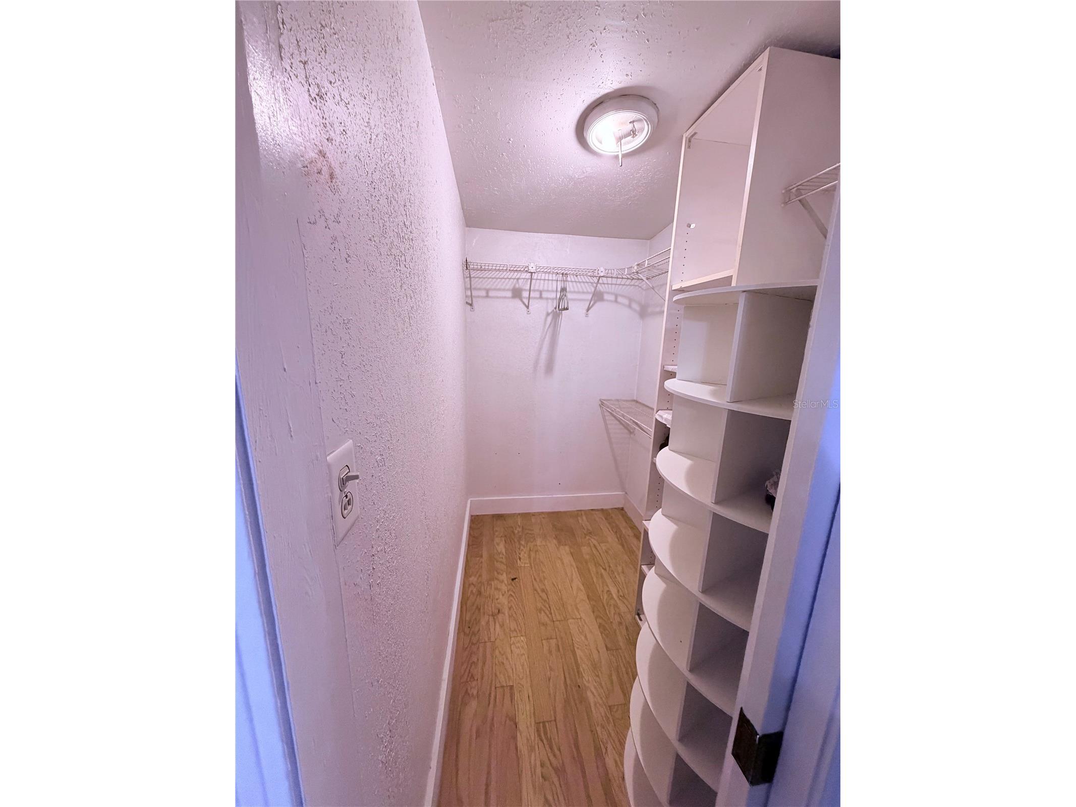 1632 Pineberry Street Lakeland FL 33803 TB8504391 image14