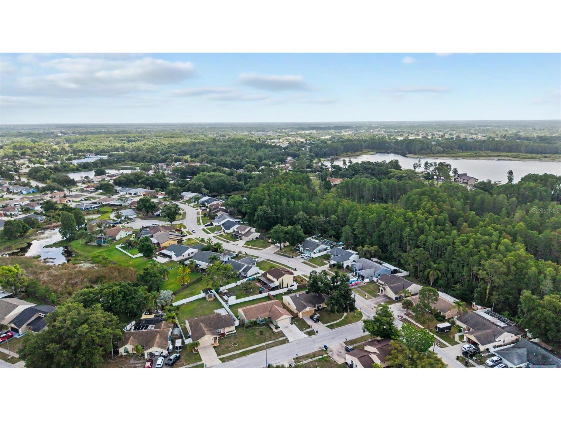 1632 Pintail Court Lutz FL 33549 TB8511917 image34