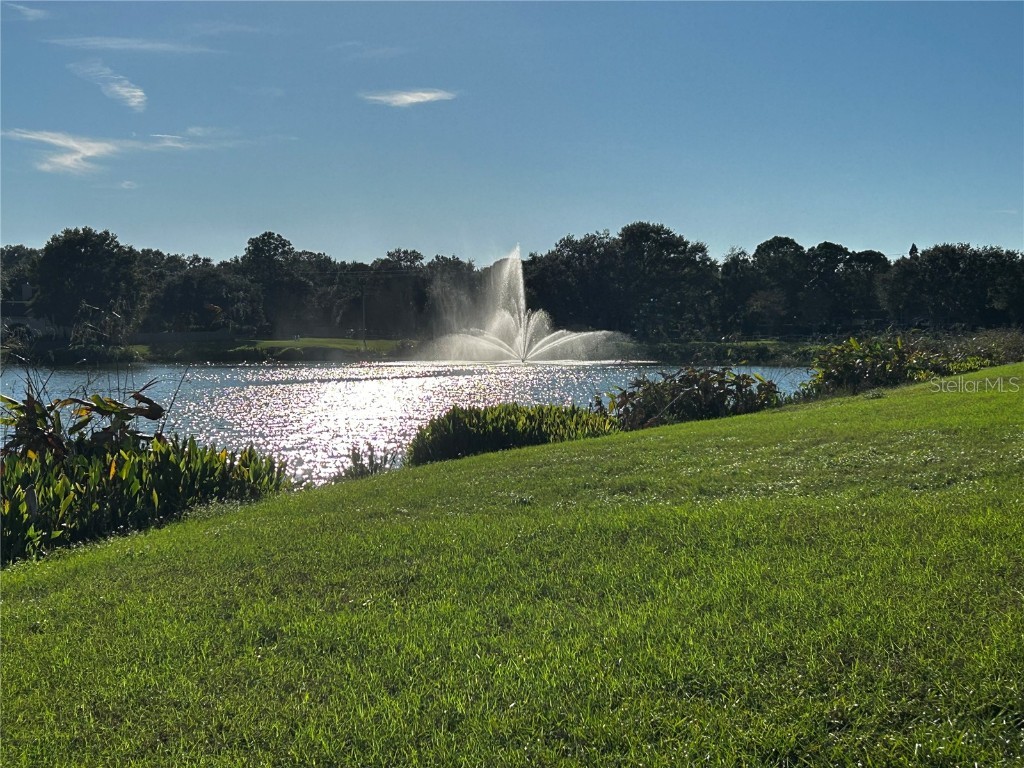 1632 Portsmouth Lake Drive Brandon FL 33511 T3488171 image1